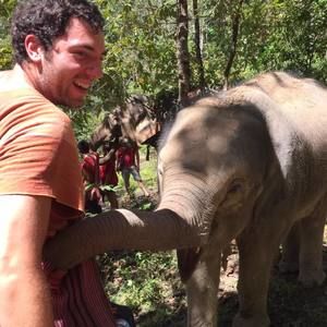 Meet your Posher, Alex